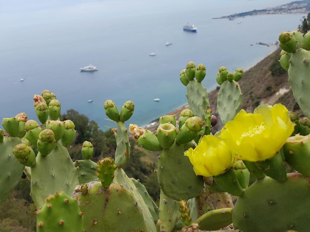 Apartmán Da Cristina Con Amore Taormina Exteriér fotografie
